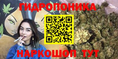 a pvp Ярославль
